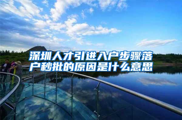 深圳人才引进入户步骤落户秒批的原因是什么意思