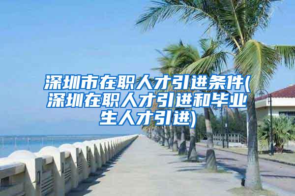 深圳市在职人才引进条件(深圳在职人才引进和毕业生人才引进)