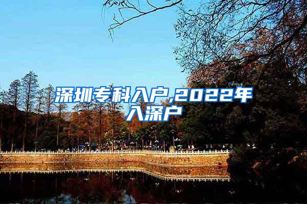 深圳专科入户,2022年入深户