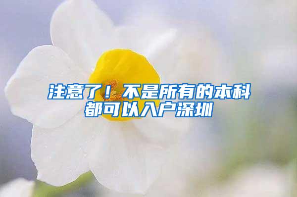 注意了！不是所有的本科都可以入户深圳