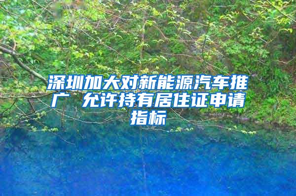 深圳加大对新能源汽车推广 允许持有居住证申请指标
