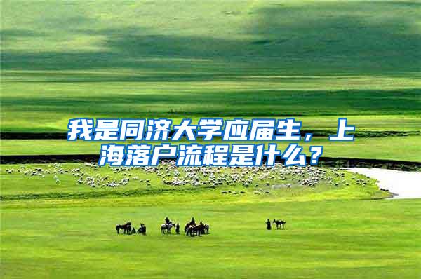 我是同济大学应届生，上海落户流程是什么？