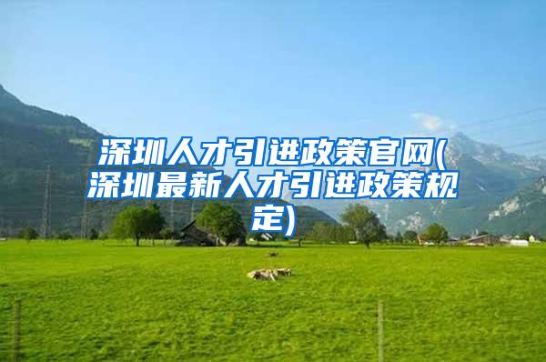 深圳人才引进政策官网(深圳最新人才引进政策规定)