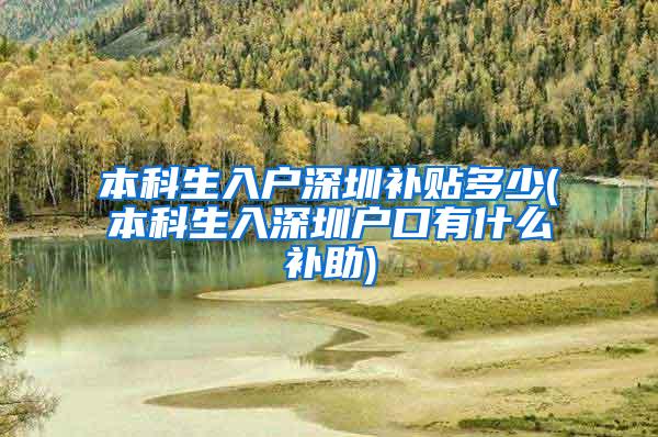 本科生入户深圳补贴多少(本科生入深圳户口有什么补助)