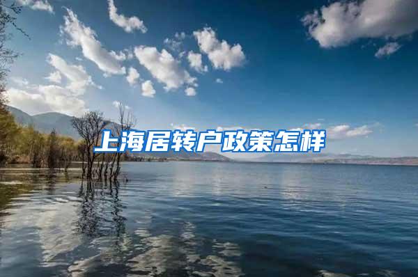 上海居转户政策怎样