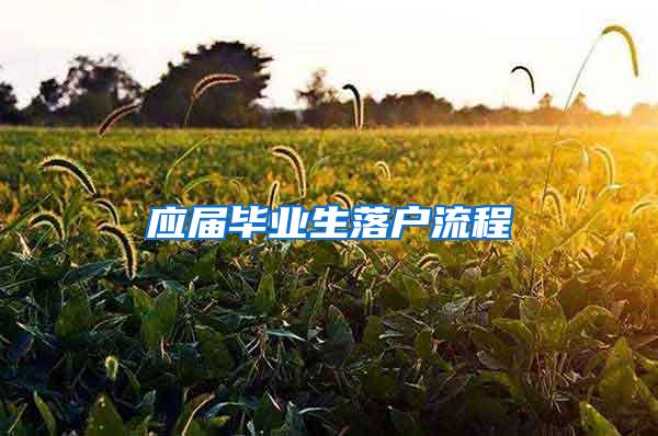 应届毕业生落户流程