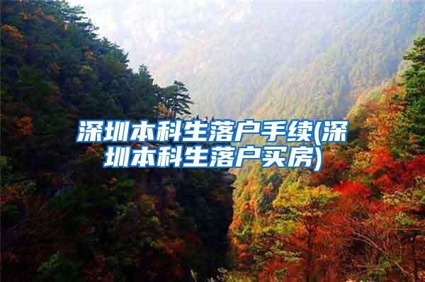 深圳本科生落户手续(深圳本科生落户买房)
