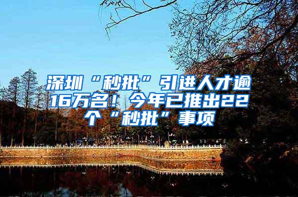 深圳“秒批”引进人才逾16万名！今年已推出22个“秒批”事项