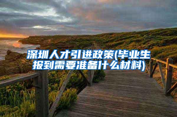 深圳人才引进政策(毕业生报到需要准备什么材料)