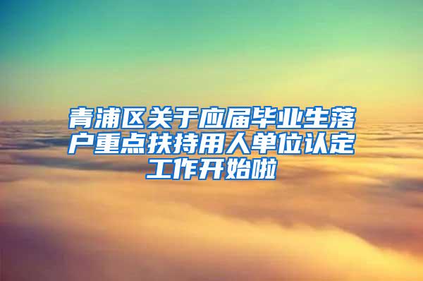 青浦区关于应届毕业生落户重点扶持用人单位认定工作开始啦