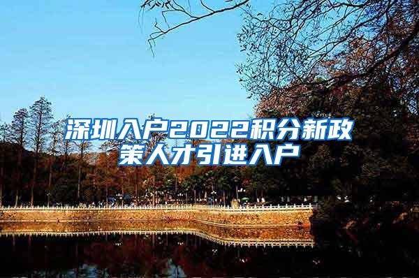 深圳入户2022积分新政策人才引进入户