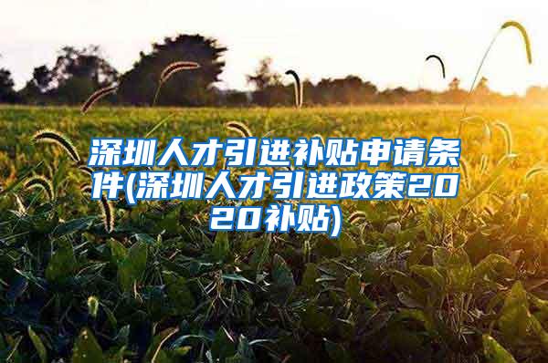 深圳人才引进补贴申请条件(深圳人才引进政策2020补贴)