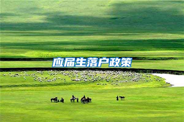 应届生落户政策