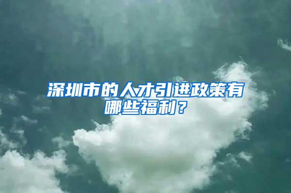 深圳市的人才引进政策有哪些福利？