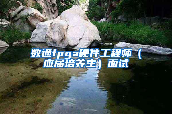数通fpga硬件工程师（应届培养生）面试