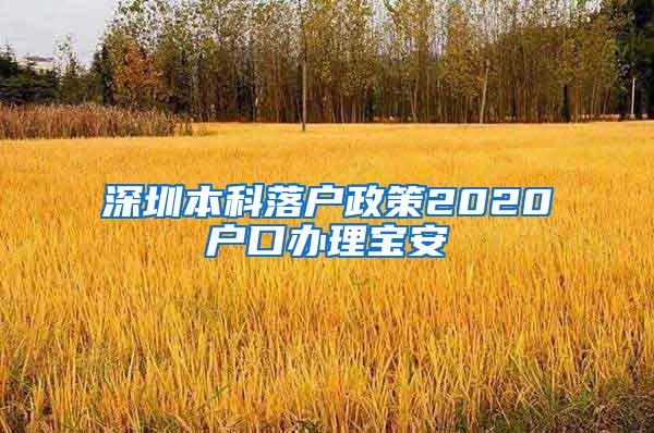 深圳本科落户政策2020户口办理宝安