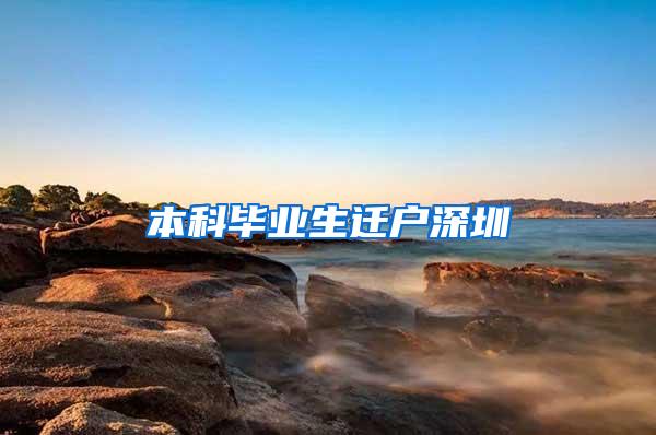 本科毕业生迁户深圳