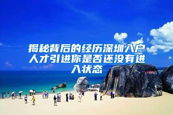 揭秘背后的经历深圳入户人才引进你是否还没有进入状态