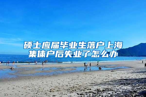 硕士应届毕业生落户上海集体户后失业了怎么办