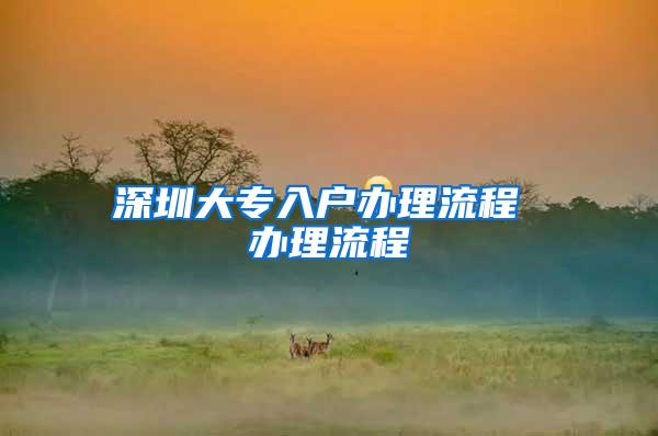 深圳大专入户办理流程 办理流程