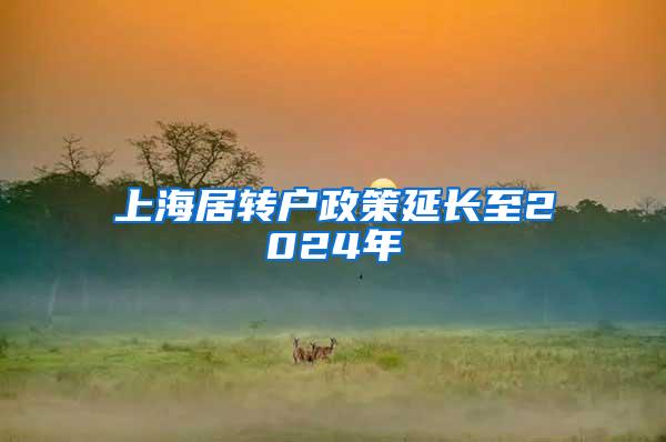 上海居转户政策延长至2024年