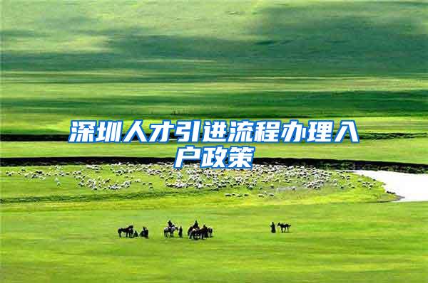 深圳人才引进流程办理入户政策