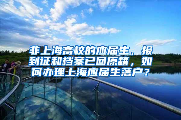 非上海高校的应届生，报到证和档案已回原籍，如何办理上海应届生落户？