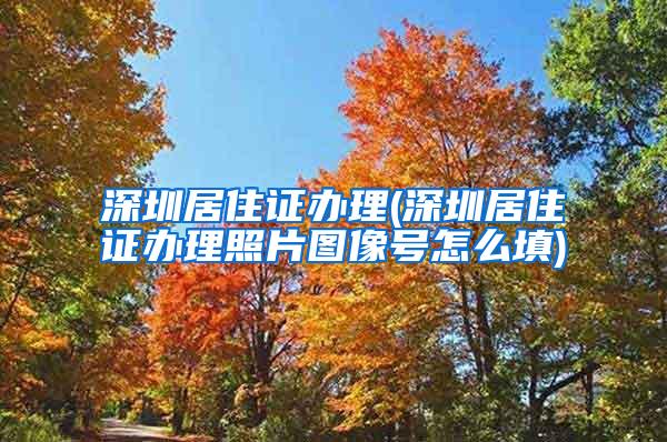 深圳居住证办理(深圳居住证办理照片图像号怎么填)