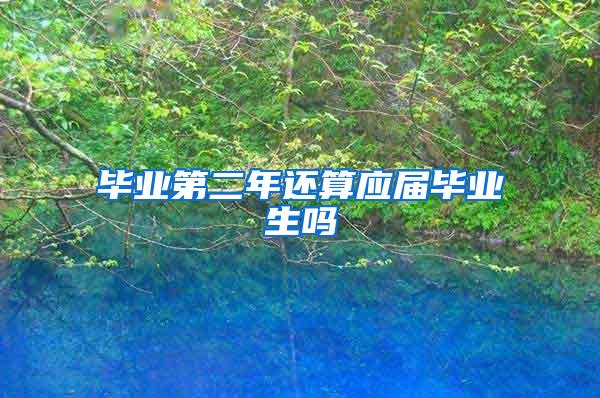 毕业第二年还算应届毕业生吗