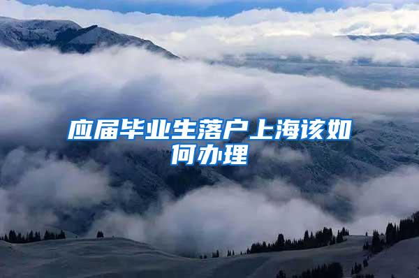应届毕业生落户上海该如何办理