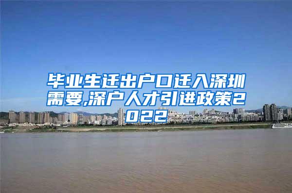 毕业生迁出户口迁入深圳需要,深户人才引进政策2022