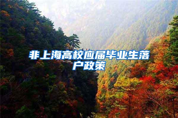非上海高校应届毕业生落户政策