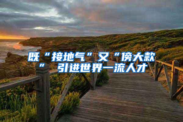 既“接地气”又“傍大款” 引进世界一流人才