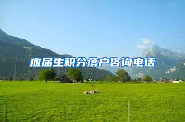 应届生积分落户咨询电话