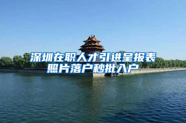 深圳在职人才引进呈报表照片落户秒批入户