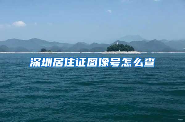 深圳居住证图像号怎么查