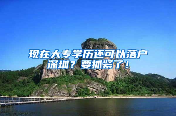 现在大专学历还可以落户深圳？要抓紧了！