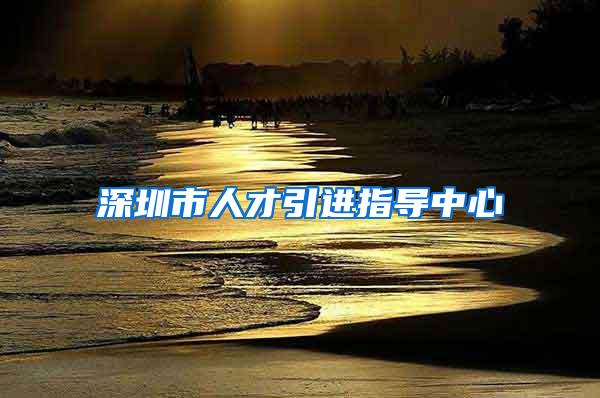 深圳市人才引进指导中心