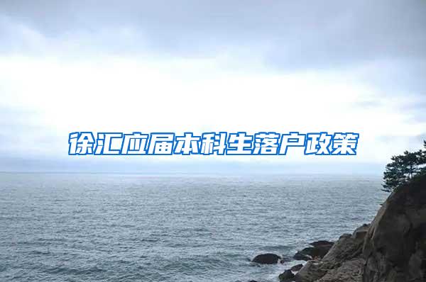 徐汇应届本科生落户政策