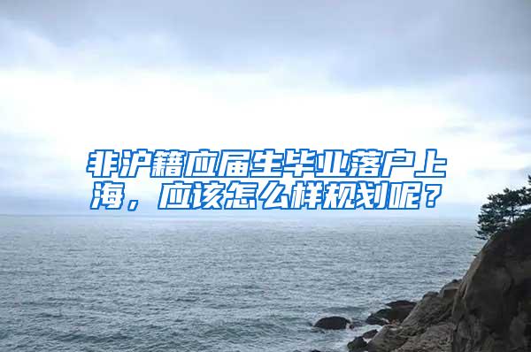 非沪籍应届生毕业落户上海，应该怎么样规划呢？