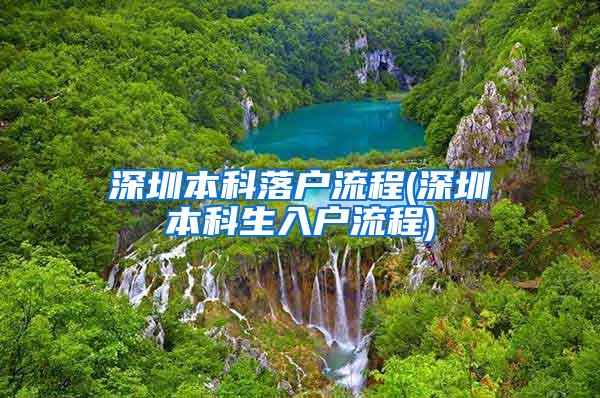 深圳本科落户流程(深圳本科生入户流程)