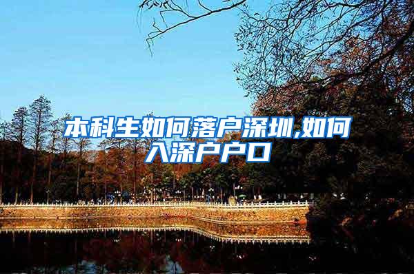 本科生如何落户深圳,如何入深户户口