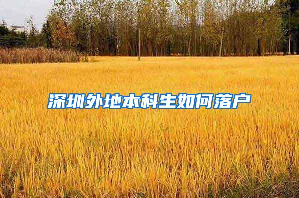 深圳外地本科生如何落户