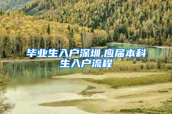 毕业生入户深圳,应届本科生入户流程
