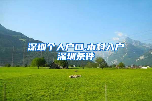 深圳个人户口,本科入户深圳条件