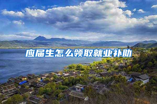 应届生怎么领取就业补助