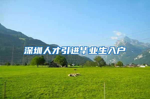 深圳人才引进毕业生入户