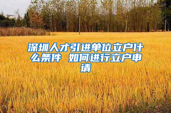 深圳人才引进单位立户什么条件 如何进行立户申请