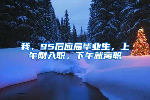 我，95后应届毕业生，上午刚入职，下午就离职
