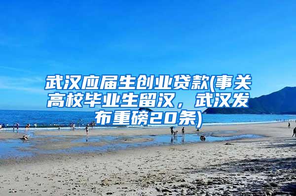 武汉应届生创业贷款(事关高校毕业生留汉，武汉发布重磅20条)